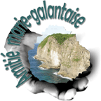 Home Page Image